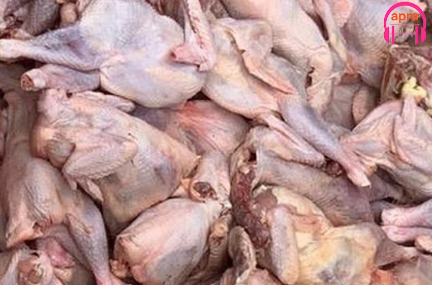 Frontière Côte d'Ivoire - Ghana : 27 tonnes de poulets congelés frauduleux saisis.