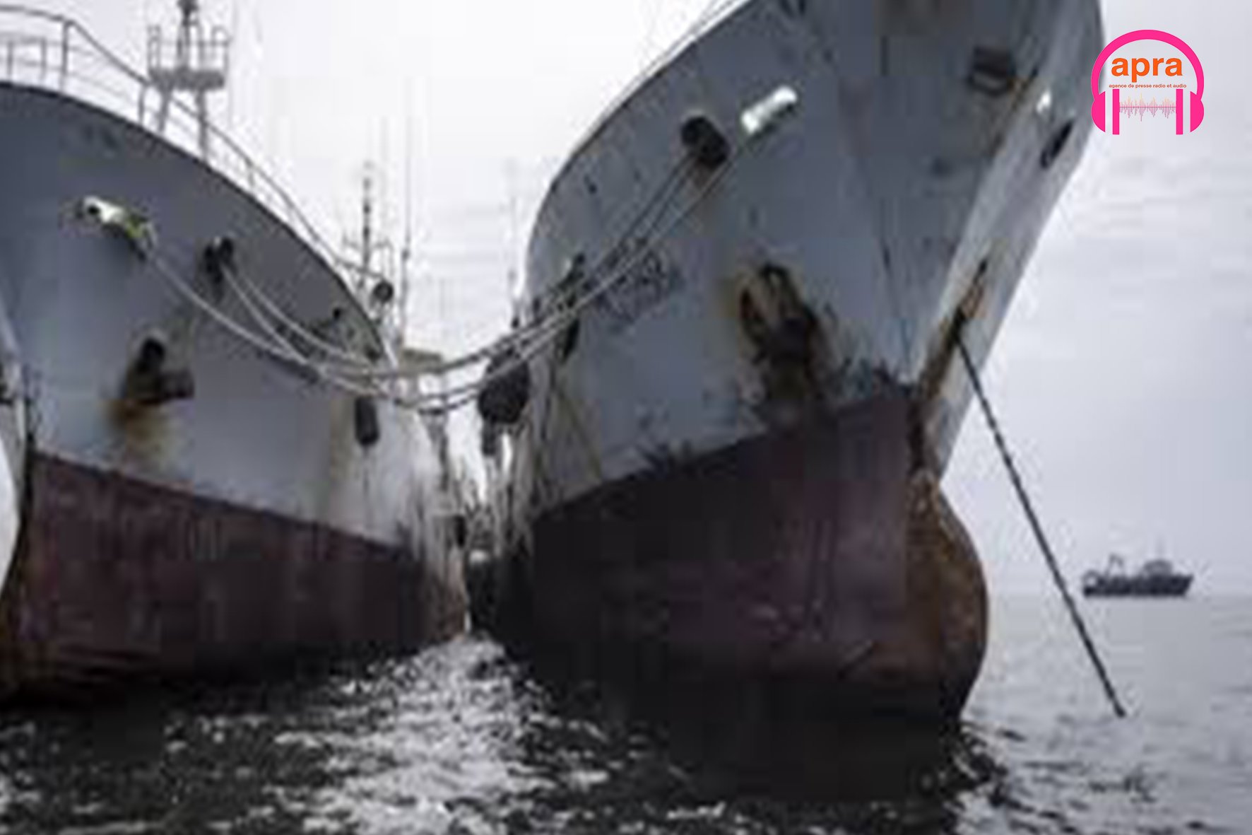 Souveraineté maritime : Pretoria frappe du poing sur la table face à la pêche illégale.