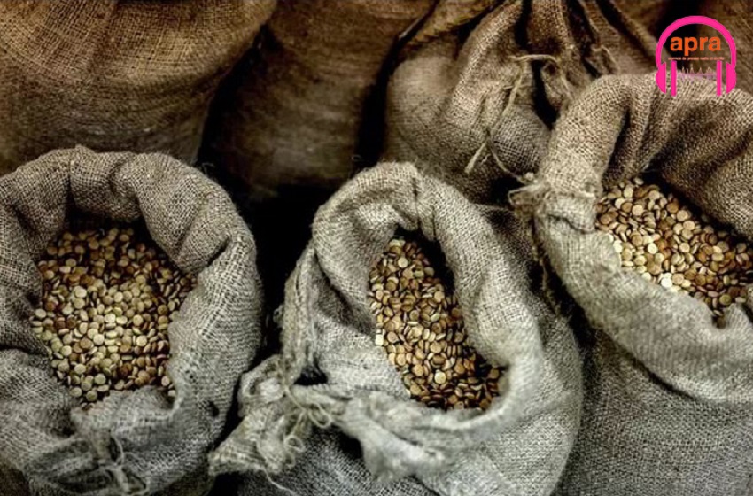 Maroc : Deux millions de pilules de captagon saisies