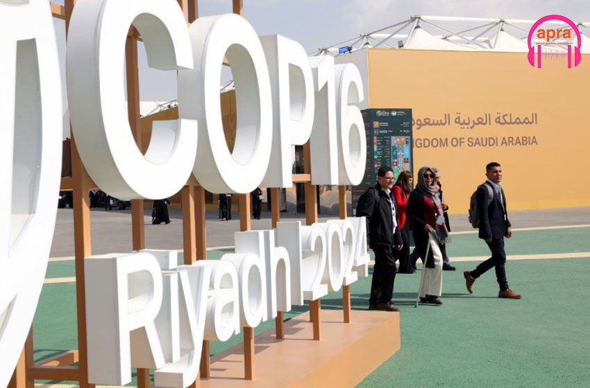 COP16 : 21,5 milliards de dollars pour lutter contre la sécheresse