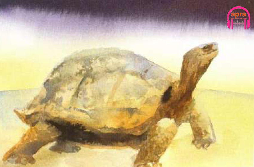 Conte et légende : « Banta et la Tortue qui chante »