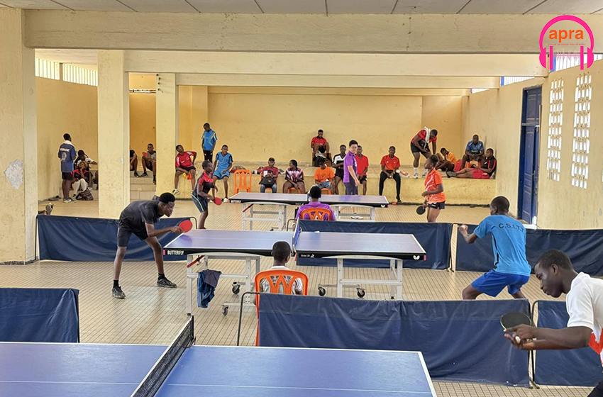 Sport /Tennis de Table : La Dping starligue 2024 reprend ce samedi 30 mars 2024