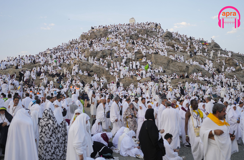 International/hadj 2024 :  plus de mille morts parmi les pèlerins