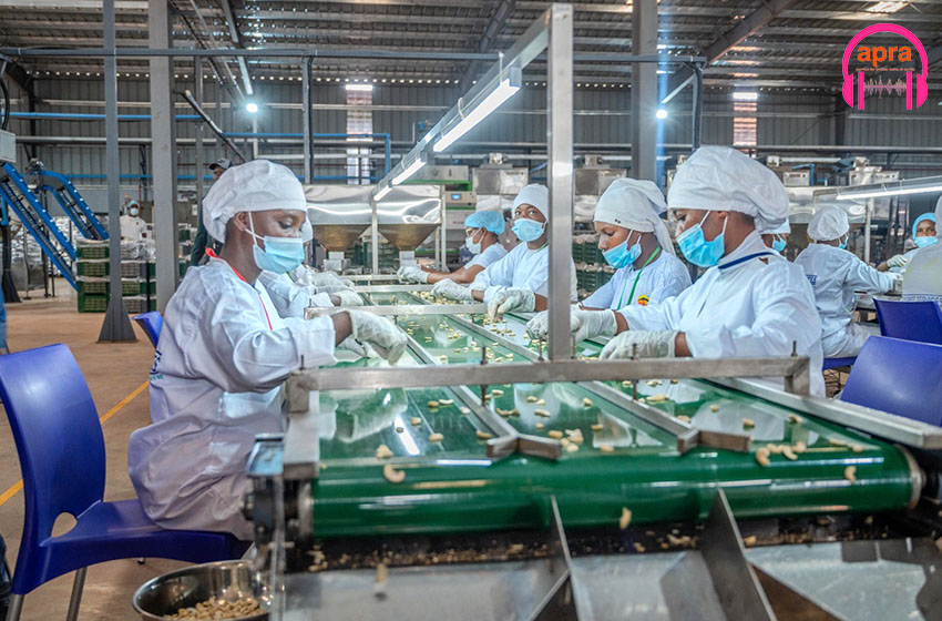 Usine de noix de cajou de Boundiali : un levier de l’accélération de la transformation structurelle de l’économie par l’industrialisation 