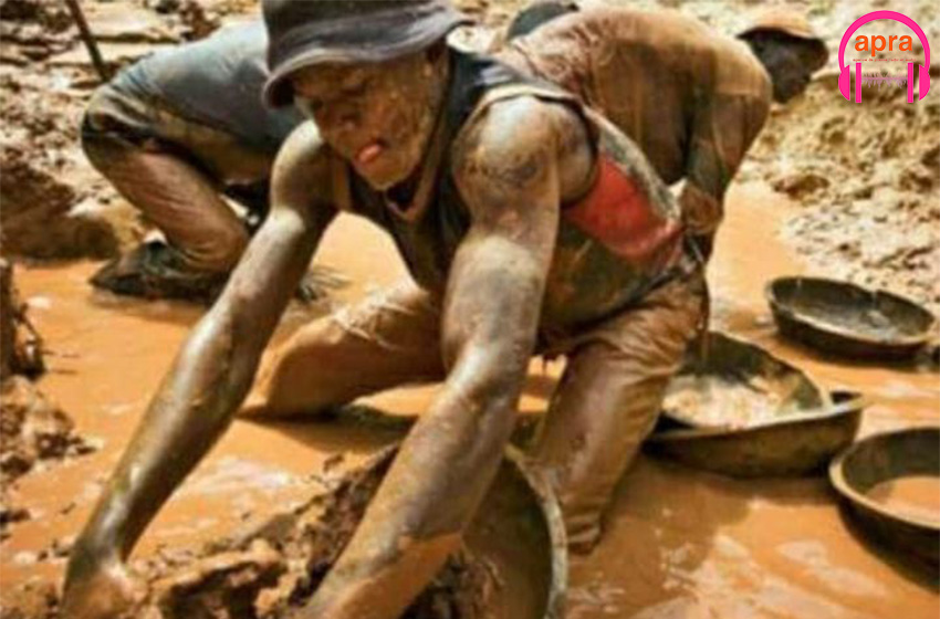 Un orpailleur illégal écroué à 2 années de réclusion.