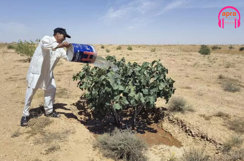 Libye : jadis fertile, une zone montagneuse en proie au dérèglement climatique