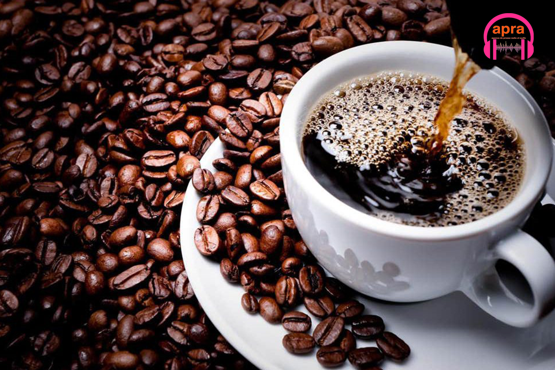 SANTÉ / « Du poison dans votre café » : ce que révèle un rapport choc sur une industrie sous pression.