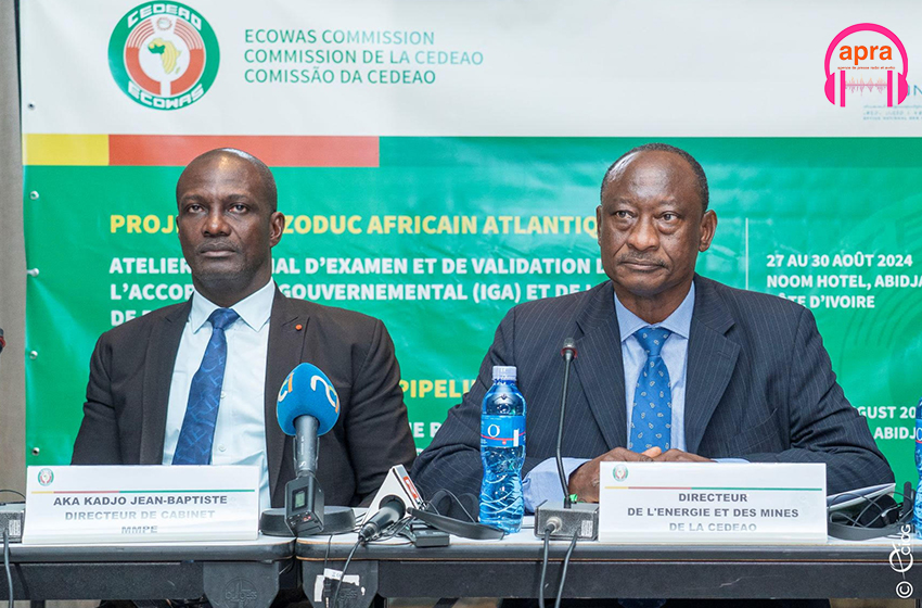 Projet de gazoduc africain atlantique : Abidjan abrite un atelier régional d'examen et de validation des documents réglementaires et institutionnels