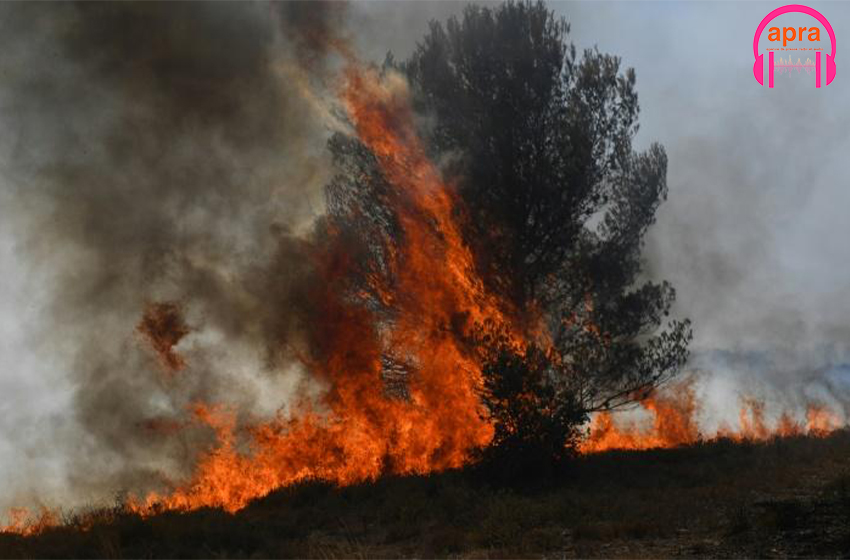 Météo : France : la Canicule met 15 départements en alerte rouge, voici les recommandations.