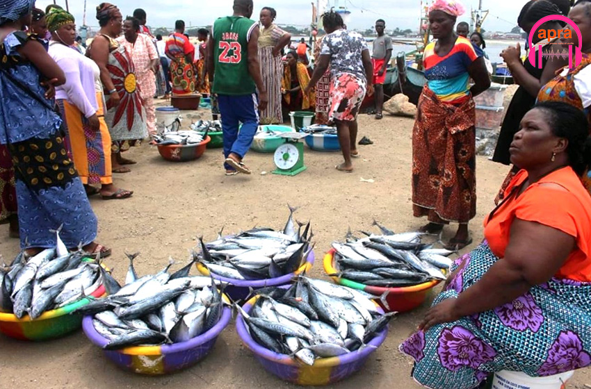 Fêtes de fin d'année : Tout savoir sur la disponibilité des viandes et poissons, ce mardi 19 décembre 2023