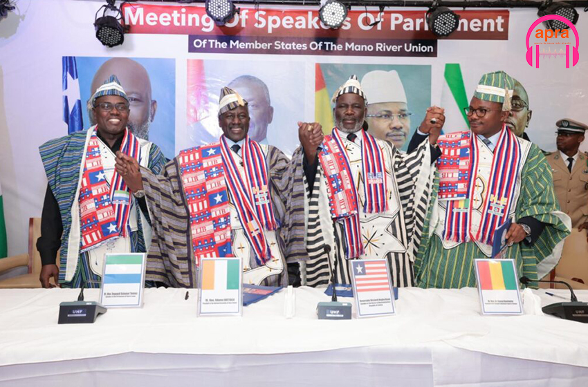 Diplomatie : naissance d’un Parlement régional pour l’UFM