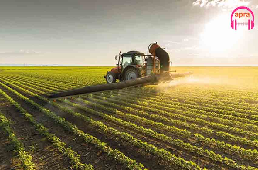 Égypte : La Biotechnologie comme réponse à l'inflation agricole