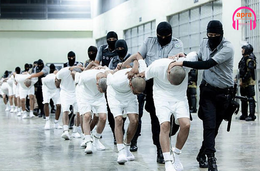 Immigration : des migrants vénézuéliens expulsés des Etats-Unis malgré l’interdiction judiciaire