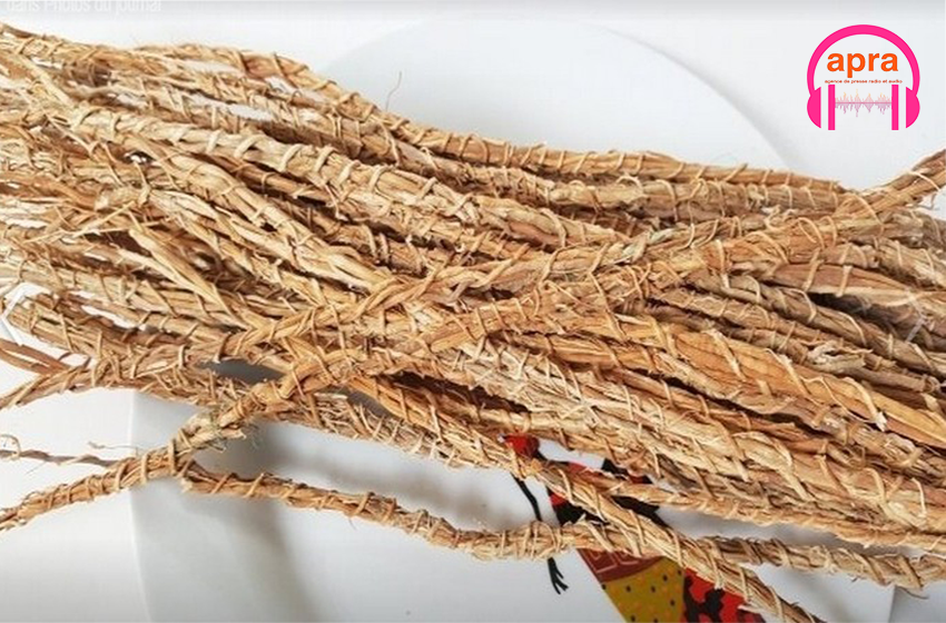 Les avantages du Gongoli