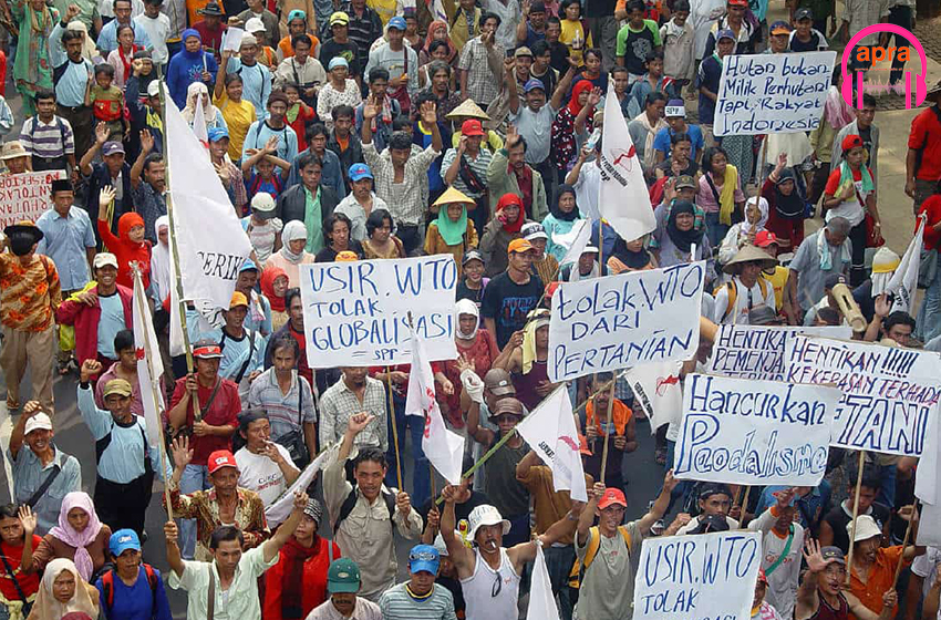 Editoriale du 11 décembre 2024 : Les insuffisances de la démocratie 