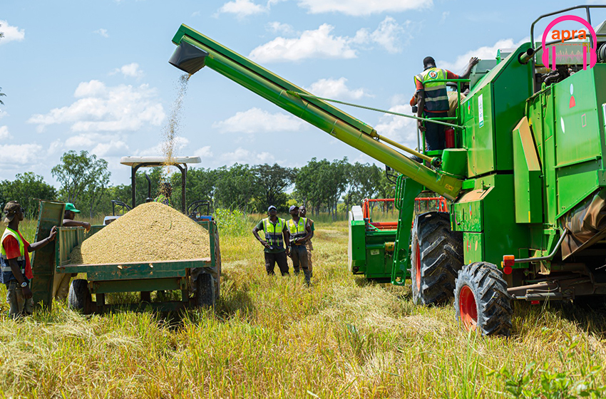 Sécurité alimentaire : le gouvernement renforce l’appui et l’encadrement des producteurs