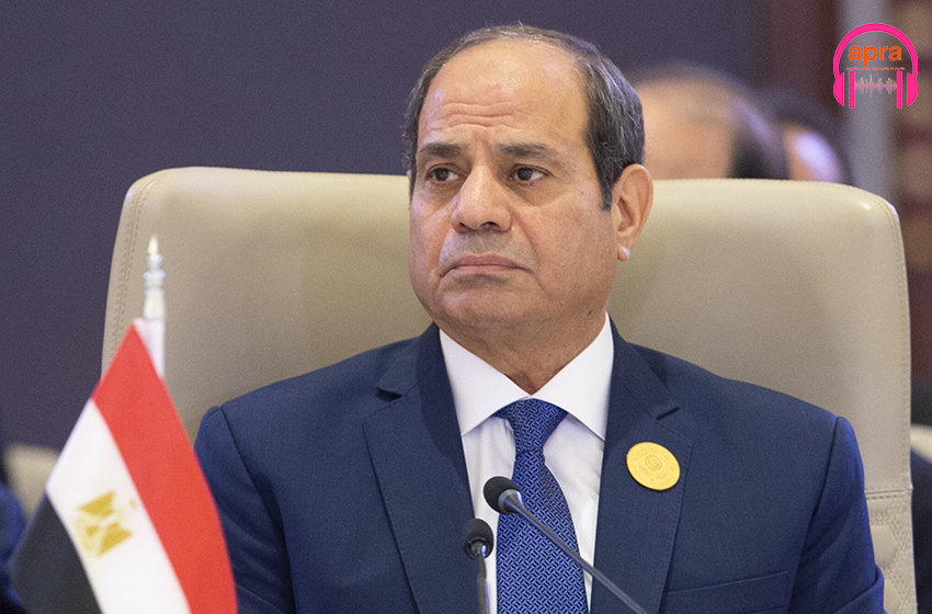 L'Égypte appelle à une mobilisation internationale pour Gaza