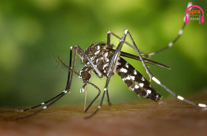 Santé : Cuba affronte une épidémie de chikungunya sur fond de crise généralisée.