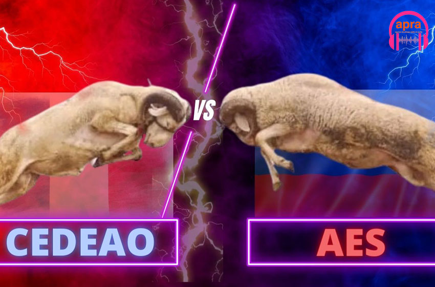 Panorama sur la CEDEAO et l’CES