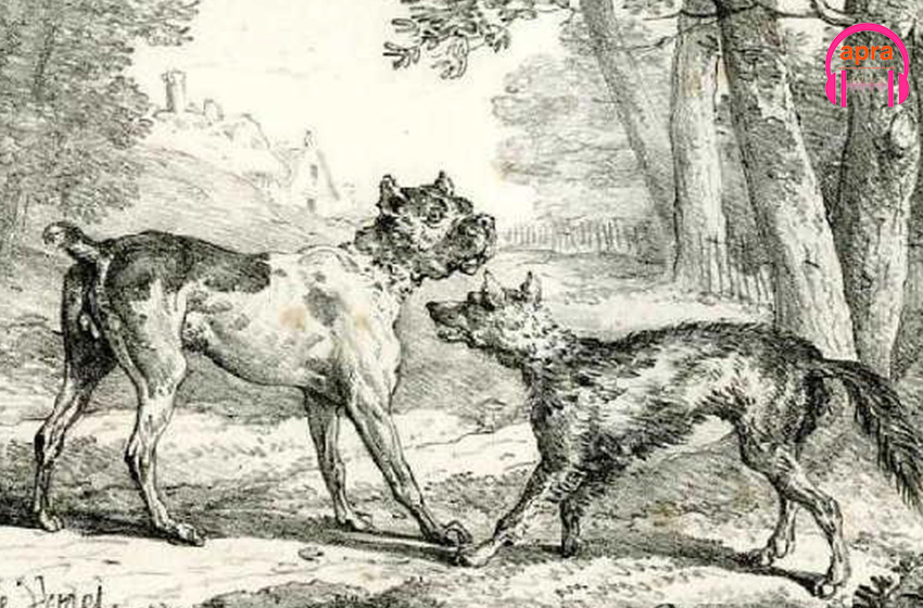 𝐔𝐍𝐄 𝐅𝐀𝐁𝐋𝐄 𝐏𝐎𝐔𝐑 𝐂𝐎𝐌𝐏𝐑𝐄𝐍𝐃𝐑𝐄 𝐋'𝐄𝐍𝐉𝐄𝐔 𝐃𝐄 𝐋𝐀 𝐒𝐎𝐔𝐕𝐄𝐑𝐀𝐈𝐍𝐄𝐓𝐄́