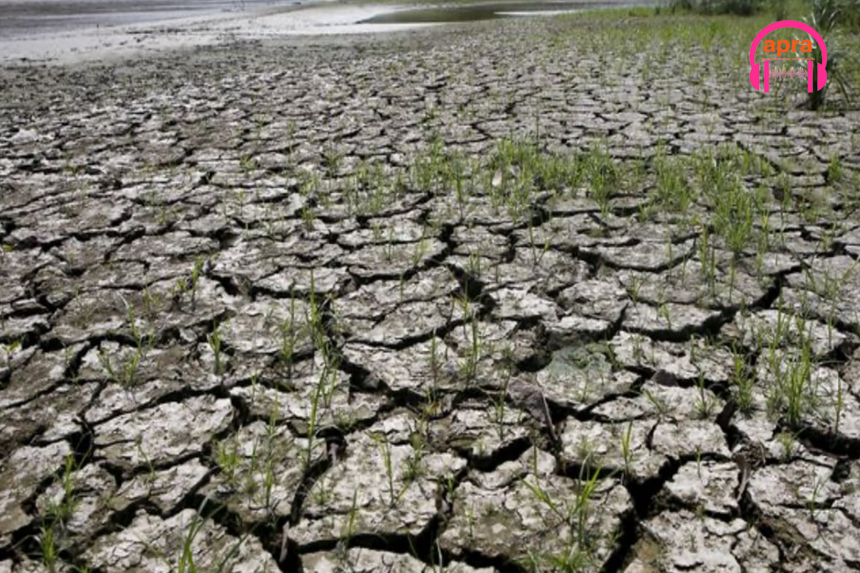 Environnement / Alerte climat : El Niño pourrait revenir dès mi-2026.