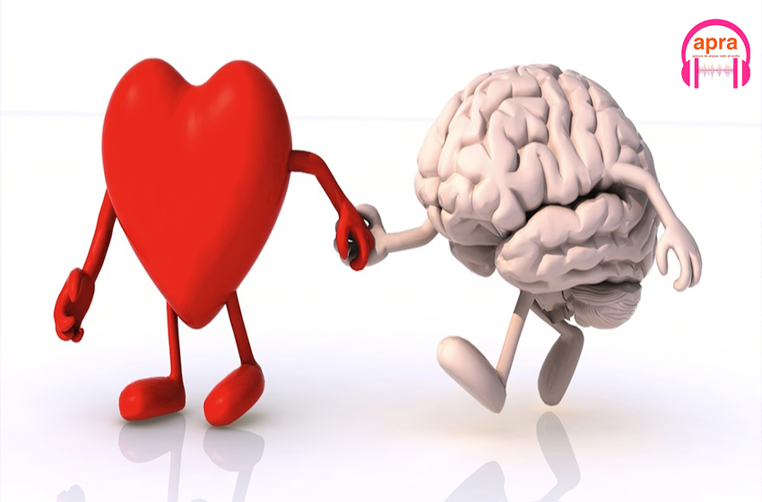 SCIENCE / Quand le cœur guide l’esprit : la révolution de la neurocardiologie.