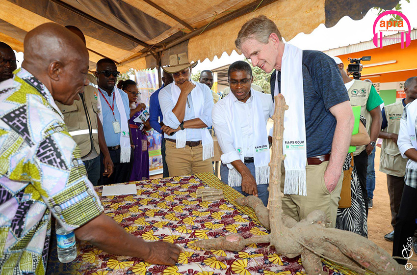 Le Canada et la BAD saluent les progrès du projet de transformation de manioc à N'Douci