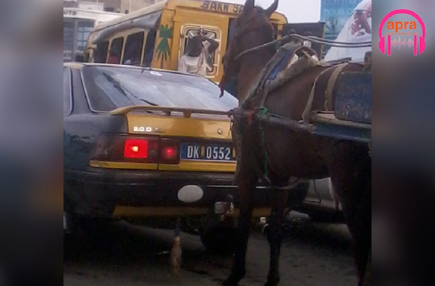 Circulation routière : cohabitation difficile entre automobilistes et charretiers