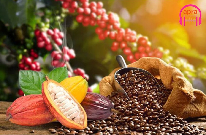 COMMUNIQUE DE PRESSE