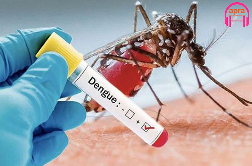 santé : Épidémie de dingue : les populations vivant en Côte d'Ivoire appelées à rester vigilantes.
