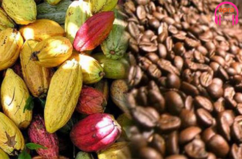 Café cacao: après le mot d’ordre de grève, le collectif syndical des producteurs appelle à l’apaisement.