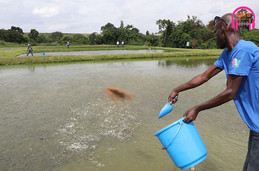 Autosuffisance alimentaire : des projets à l’endroit des femmes et des jeunes pour renforcer la production animale et halieutique