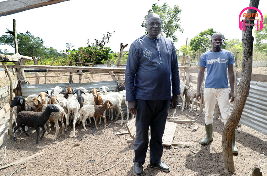 Projets emploi jeunes : le coordonnateur general du PSGOUV, non Karna, visite les fermes d’un groupe de jeunes à Lolobo (Yamoussoukro)