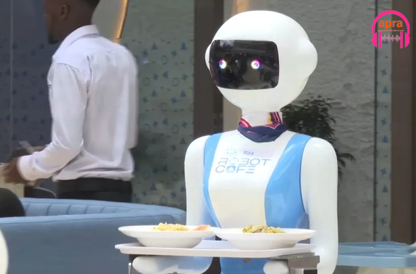 Kenya : des robots serveurs la nourriture dans un restaurant
