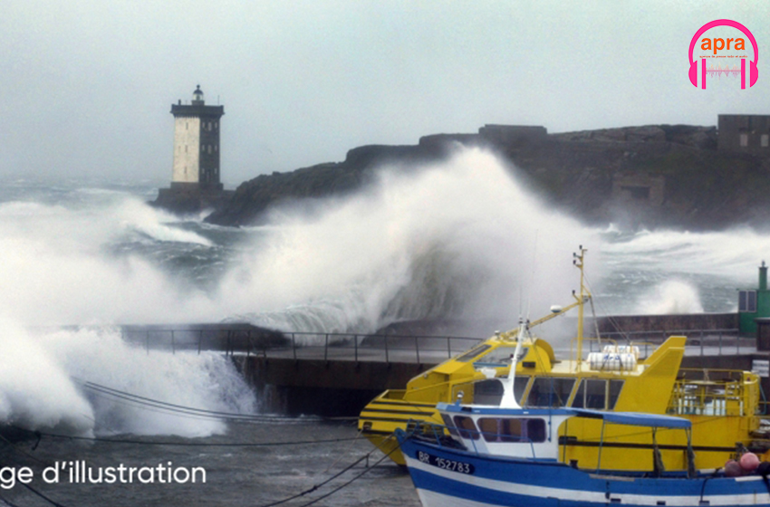 France/phénomènes naturels : La tempête Ciaran pourrait s’abattre sur une partie de la France
