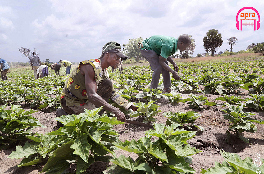 Le programme en faveur des jeunes des zones de fragilité du nord : un dispositif robuste pour faire barrage aux extrémismes