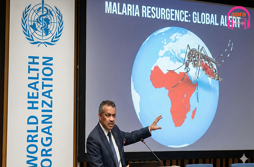 SANTÉ / Paludisme : l’ONU alerte sur une résurgence mondiale, 610 000 décès et une Afrique en état d’urgence sanitaire