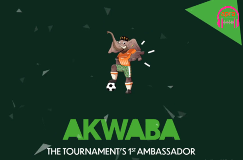 Football : « Akwaba », la Coupe d’Afrique des Nations (CAN), 2023 dévoilée