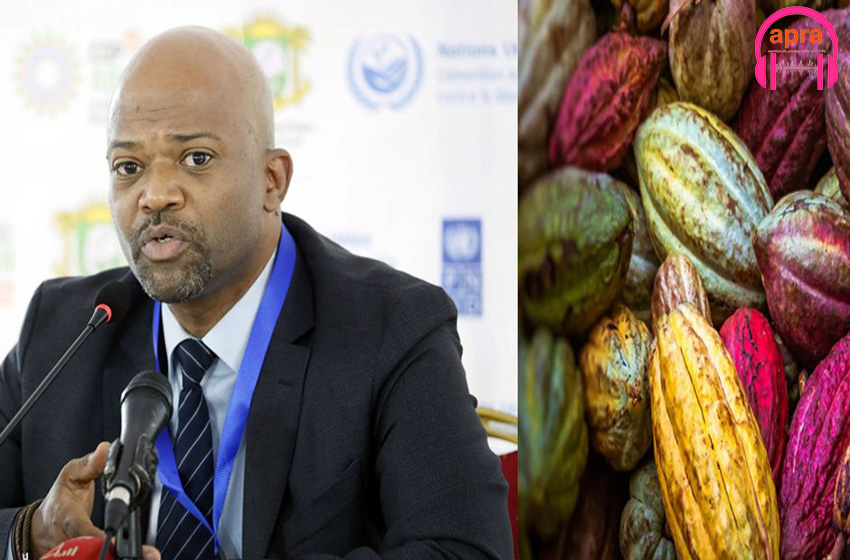 Cop 15 : solutions pour le cacao ivoirien et ghanéen.
