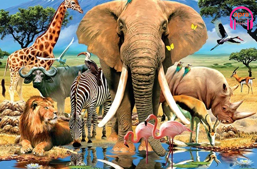 Football : pourquoi certaines équipes nationales ont pour symbole un animal?