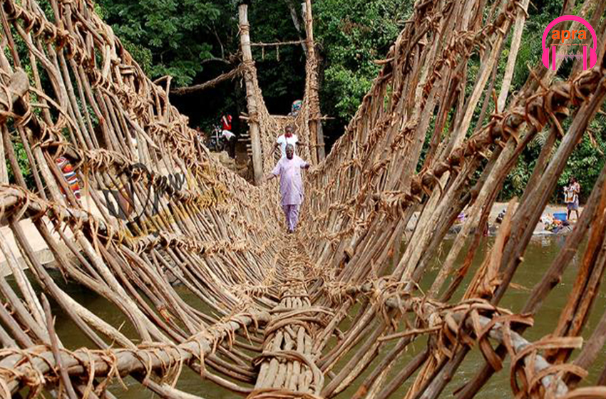 Reportage /"Les ponts sacrés de lianes un héritage vivant des Yacouba