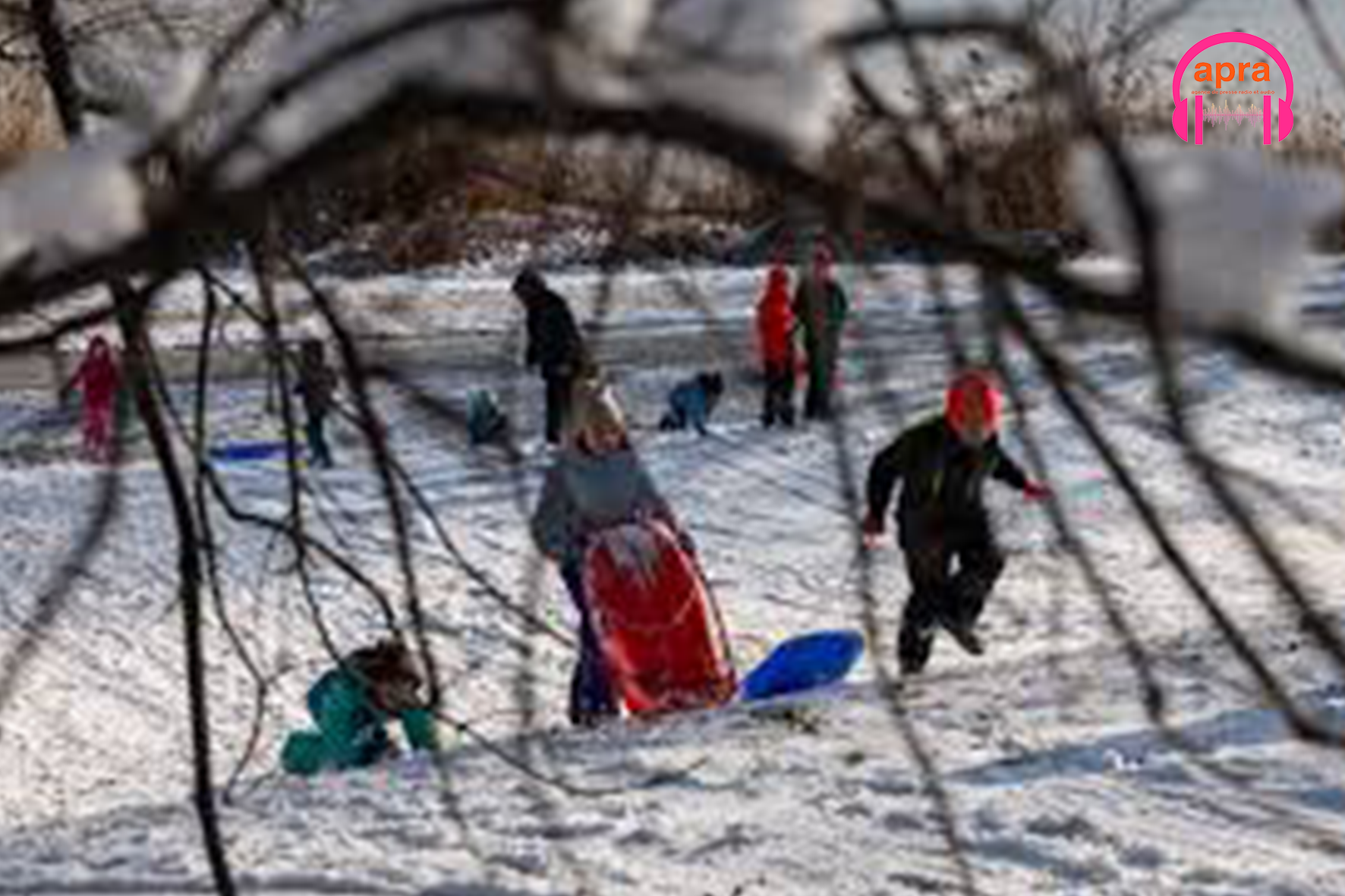 New York : Un manteau blanc historique paralyse et enchante la ville.