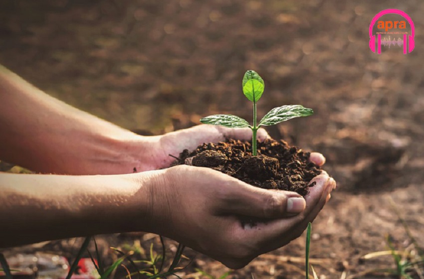 Biodiversité : Les vertébrés sont menacés