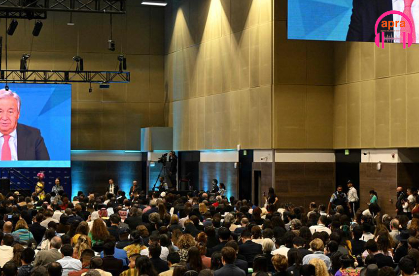 Institution : le SG de l’ONU appelle à des investissements significatifs pour sauver la nature