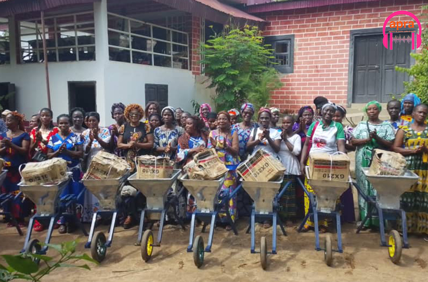 L'essor du manioc à Logoualé : un projet "durable" pour l'autonomisation des femmes