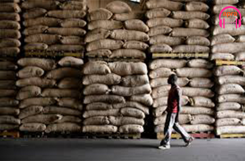 Côte d’Ivoire/Café-Cacao, Duékoué : Dans l’enfer des entrepôts pleins et des poches vides des producteurs.