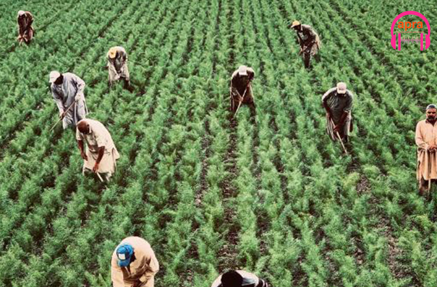 Souveraineté alimentaire: comment y arriver en Afrique ?