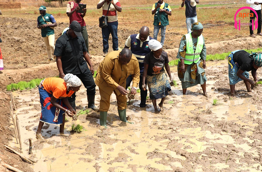 Programme de production alimentaire d’urgence : le ministre Kobenan Kouassi Adjoumani remet d’importants kits agricoles aux riziculteurs de la région du Poro