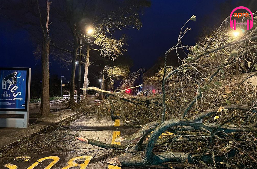 Tempête Ciaran en France : un mort, plusieurs blessés et 1,2 million de foyers privés d'électricité