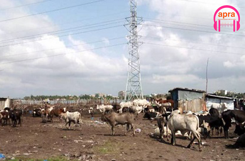 LA CIE SENSIBILISE LES POPULATIONS VIVANT SOUS LES HAUTES TENSIONS.